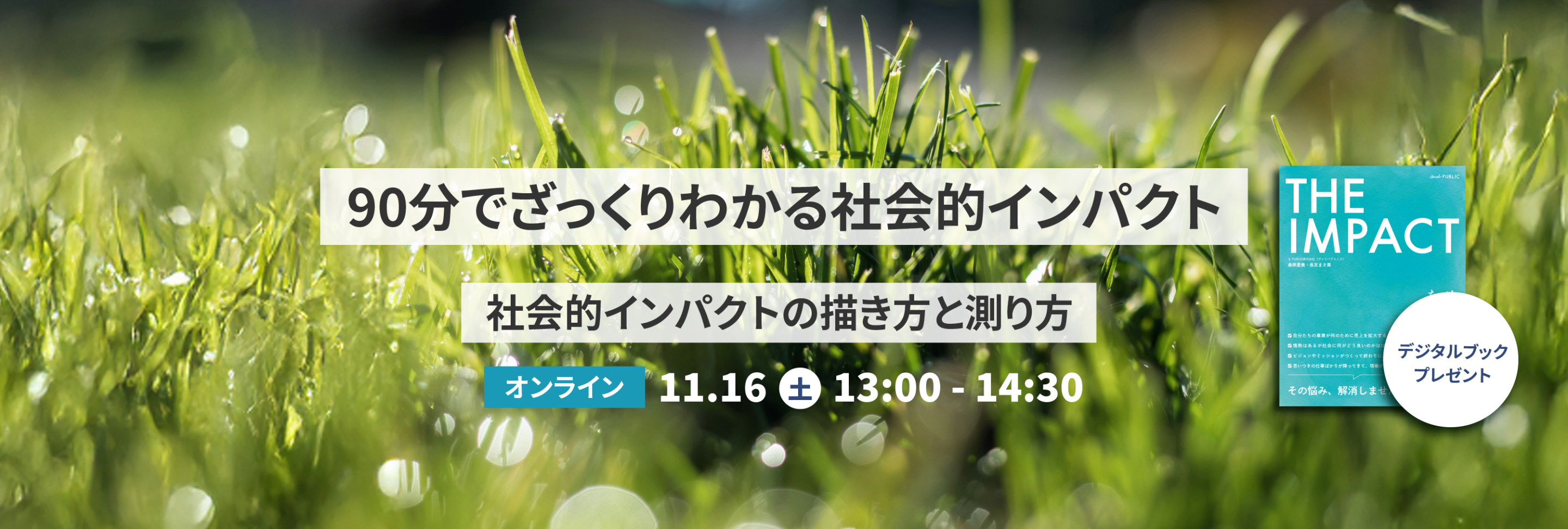 オンライン講座「社会的インパクトの描き方と測り方」